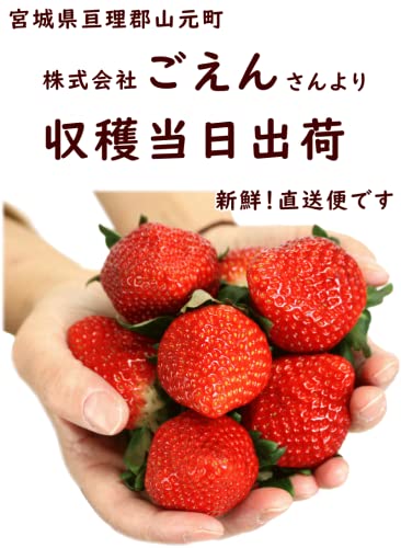 ごえんのいちご ほほ笑み 6