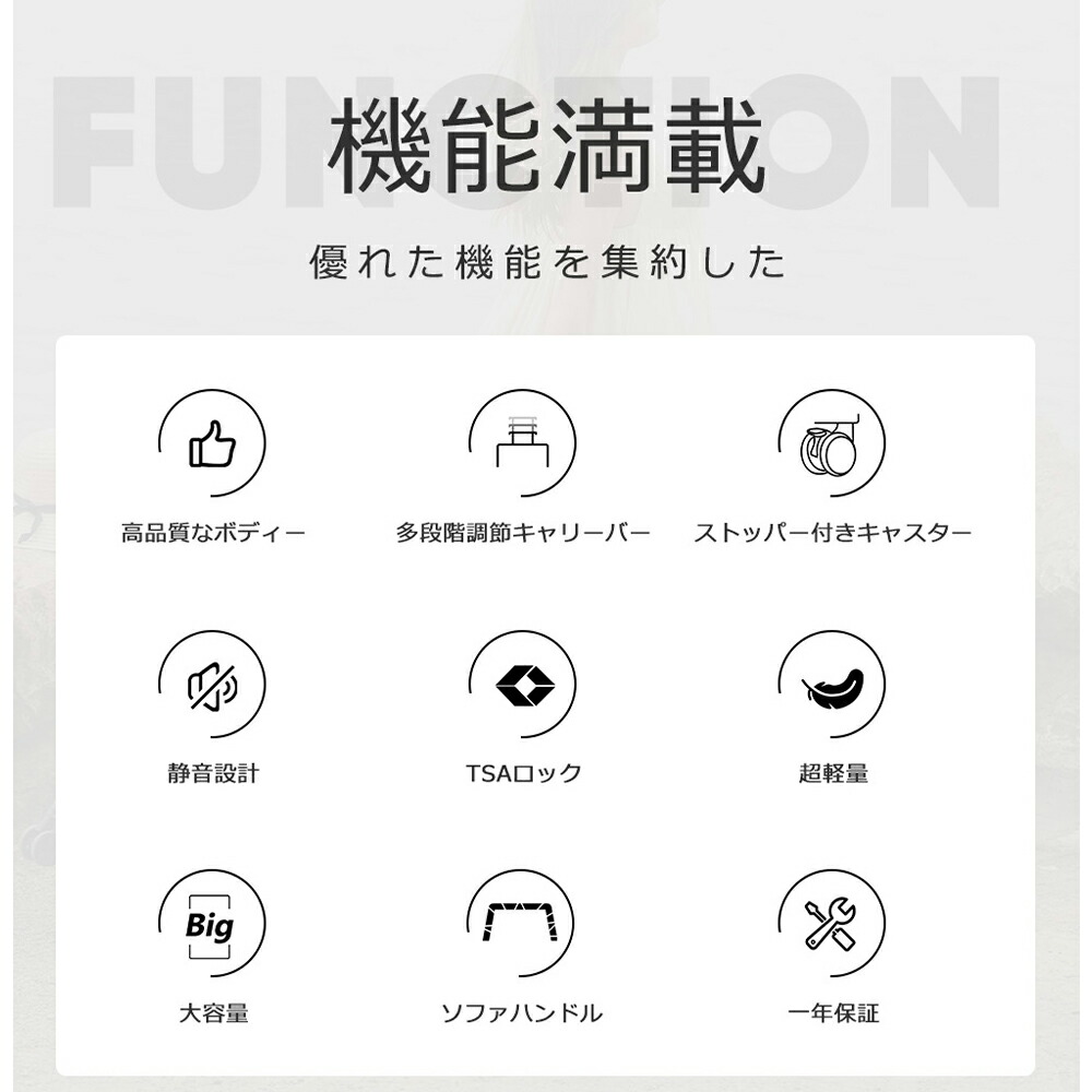 スーツケース 13