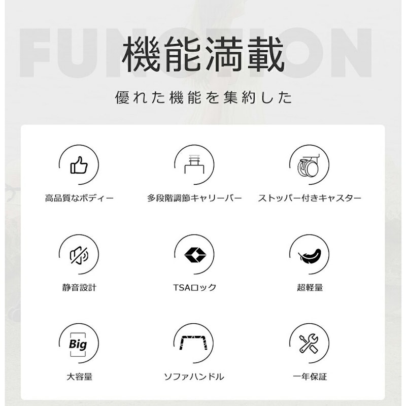 スーツケース 13