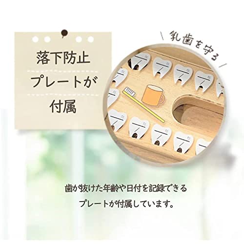 乳歯ケース ポケットlight 5