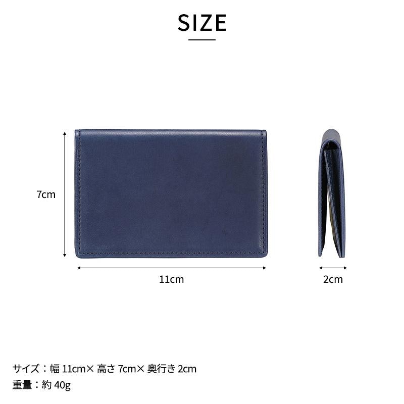 AI(藍)Card Case 10