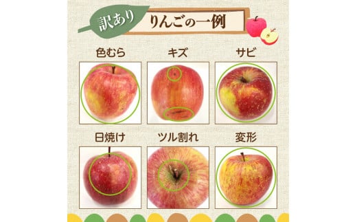 訳あり りんご 昂林 3