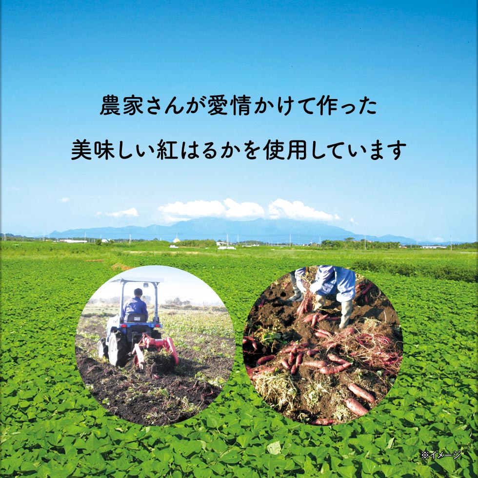 訳あり干し芋　紅はるか 4