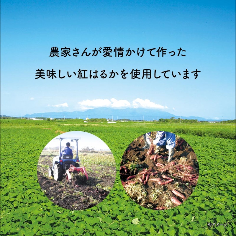 訳あり干し芋 紅はるか 4