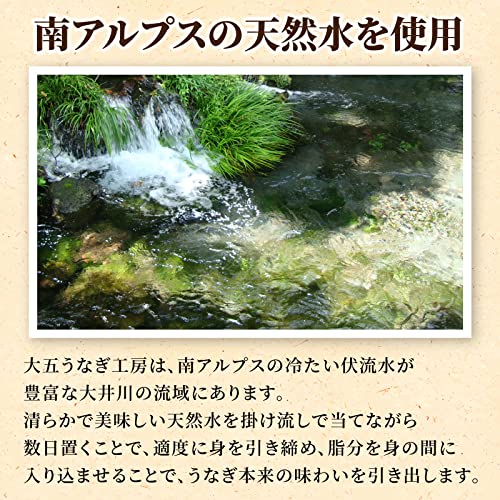 うなぎ 長蒲焼2尾セット 5