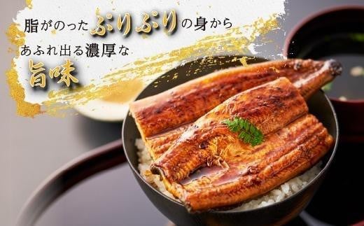 鹿児島県産 うなぎ長蒲焼 7