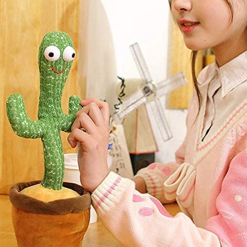動くサボテン 5