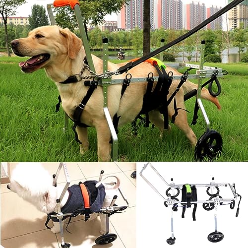 4輪の犬用車椅子・歩行器のおすすめ人気ランキング【2024年】 | マイベスト