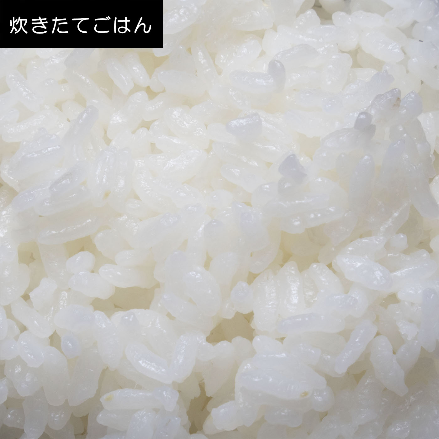 土鍋圧力IHジャー炊飯器 11