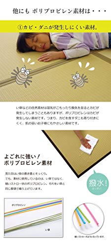 置き畳 3