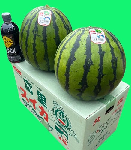 ブランドすいか 1