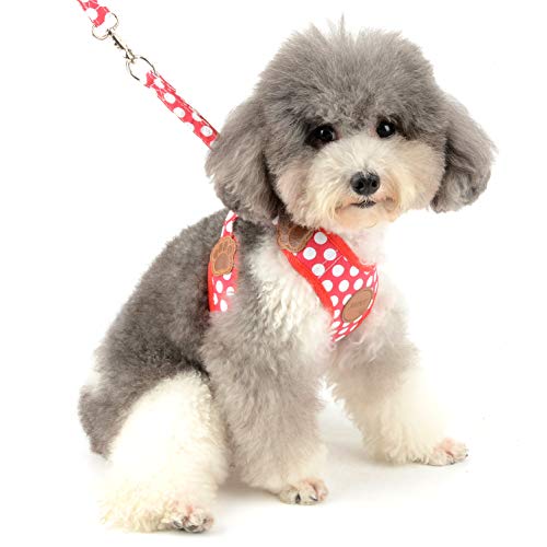 犬用ハーネス 4