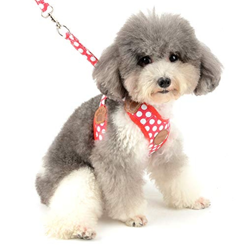 犬用ハーネス 4