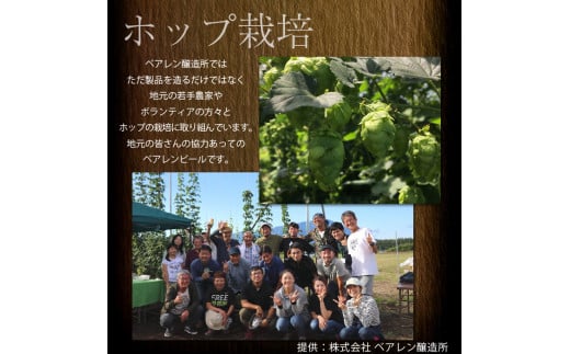 ベアレンビール レモンラードラー 6