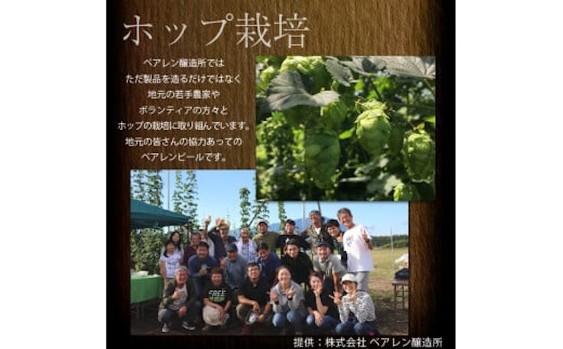 ベアレンビール レモンラードラー 6