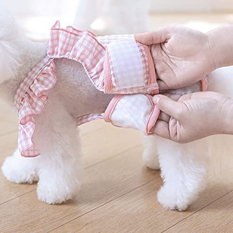 犬用生理パンツ 7