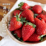 高級いちごのおすすめ人気ランキング【2026年】 5
