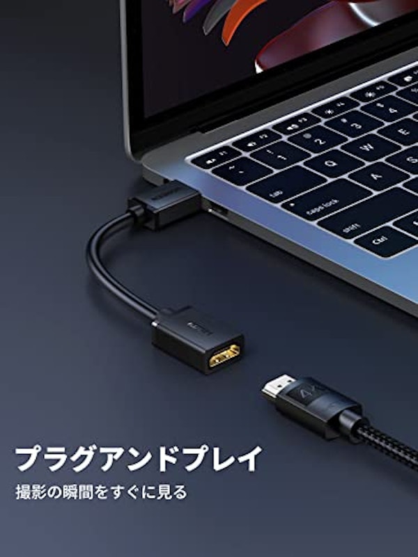 MINI HDMI to HDMI 変換アダプター 5