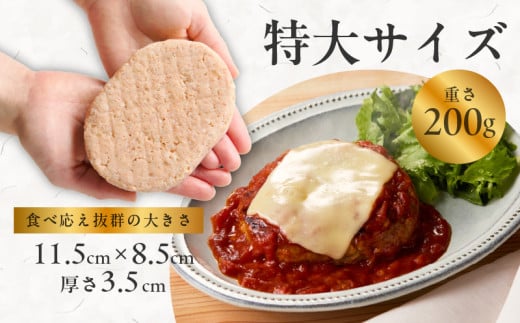 黒毛和牛入り BIGハンバーグ 2