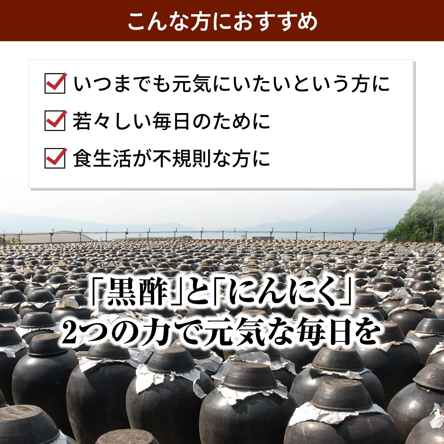 黒酢にんにくS 2