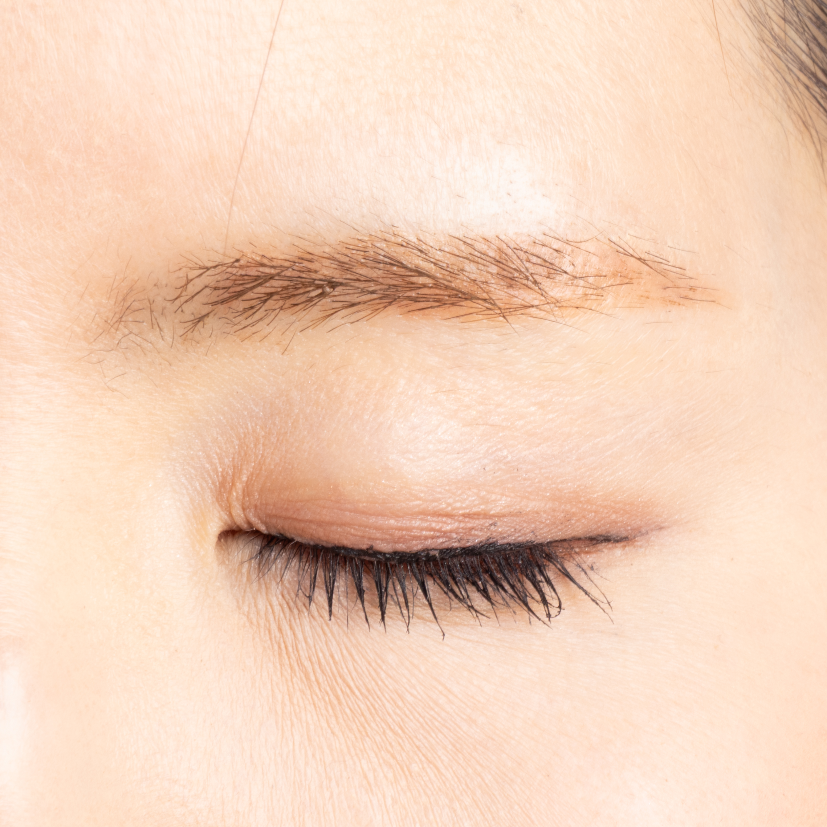 LAKA Cosmetics Laka ワイルドブロウシェイパーを検証レビュー！眉マスカラの選び方も紹介 5