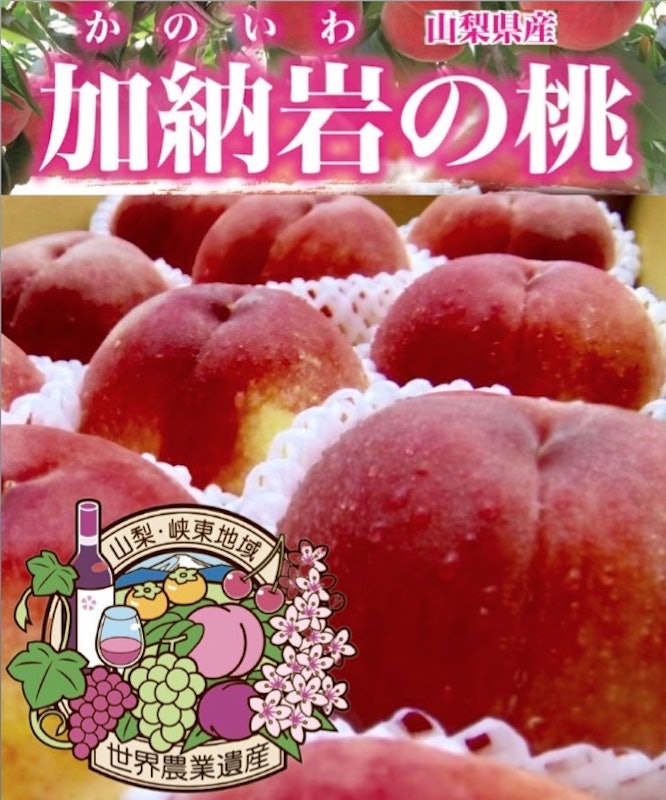 加納岩の桃 1