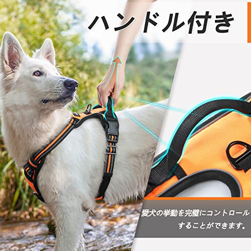 ハーネス 3