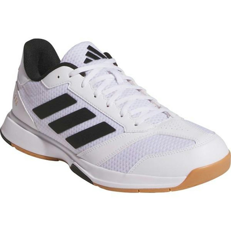 Ligra 8 Indoor 1