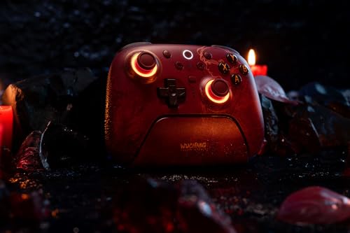 Wireless Controller - WUCHANG: Fallen Feathers 6