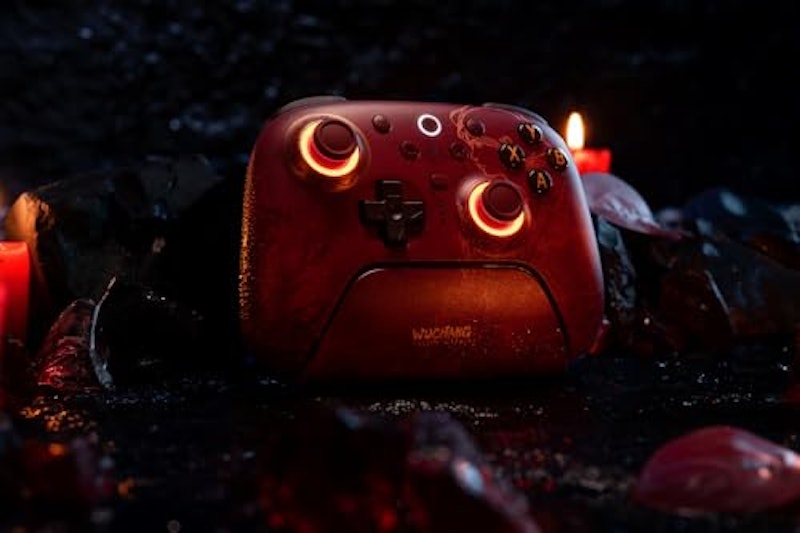 Wireless Controller - WUCHANG: Fallen Feathers 6