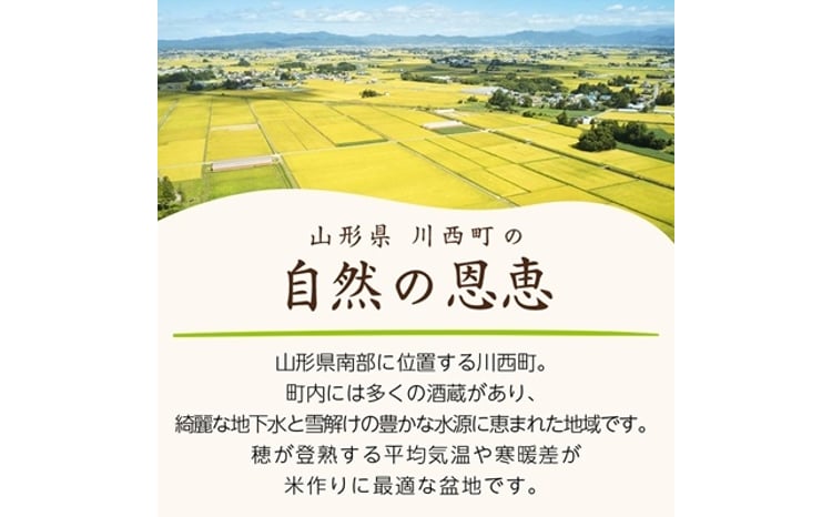 山形県産はえぬき 5kg×2袋 3