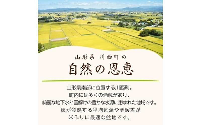 山形県産はえぬき 5kg×2袋 3