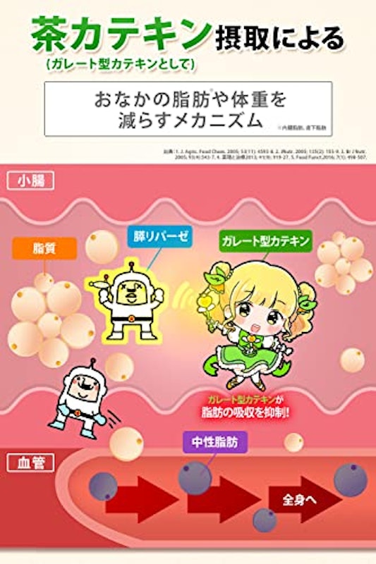 ナイシボーンZ 5