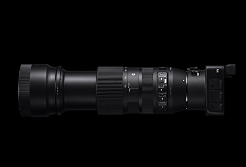 100-400mm F5-6.3 DG OS HSM Contemporary 5