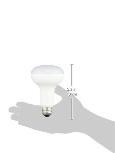 LED電球 レフランプ形 3