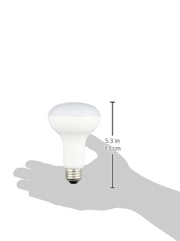 LED電球 レフランプ形 3