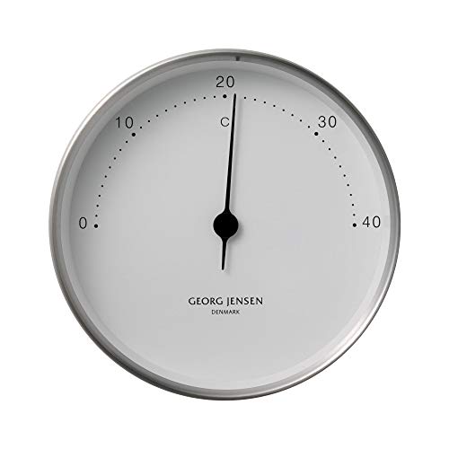 Thermometer 1