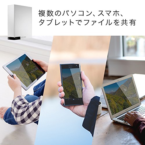 LAN DISK ネットワークハードディスク 2