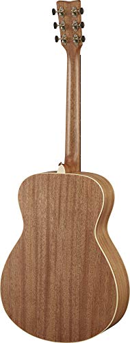 フォークギターのおすすめ人気ランキング【2026年3月】 | マイベスト