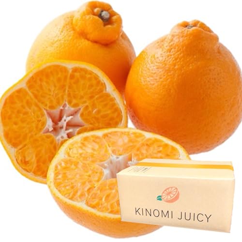 デコポンのおすすめ人気ランキング【有名産地も紹介！2026年2月