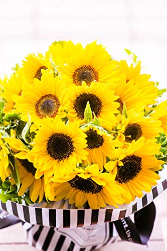 自立するひまわりの花束 5