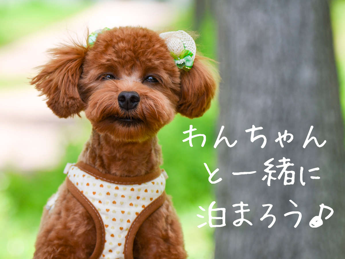 梅園の里 2