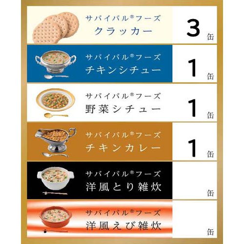 ファミリーセット カレー&シチュー 2