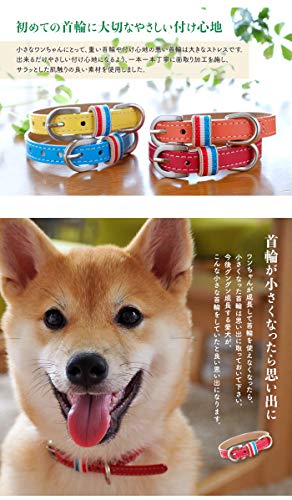 超小型犬・小型犬専用首輪 7