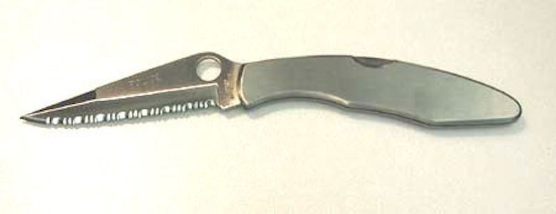 Police Model 1
