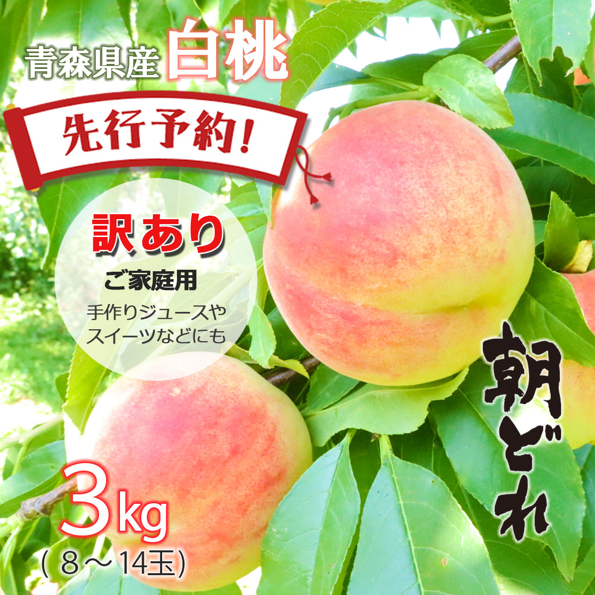 白桃 1