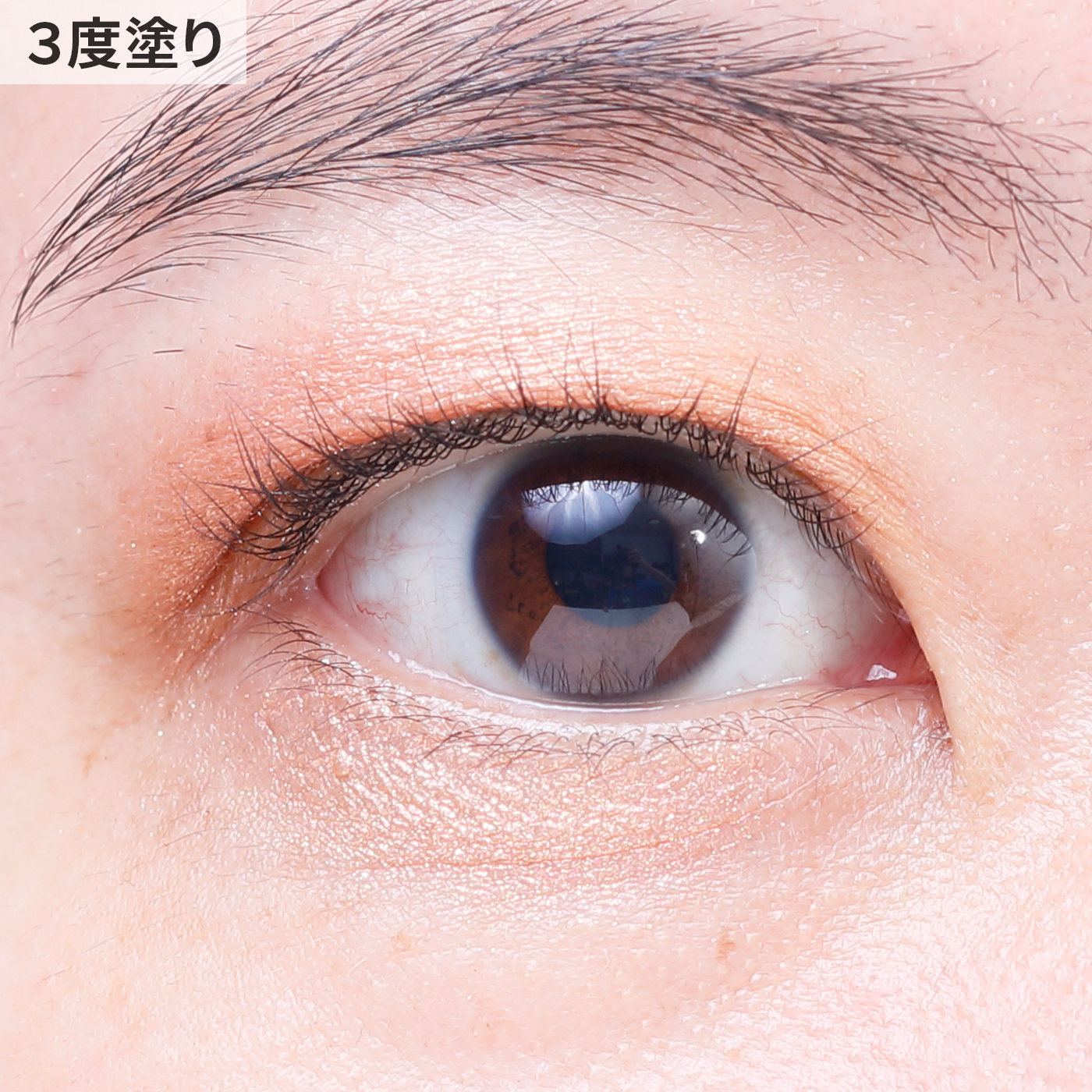 エスポア リアルアイパレット 9