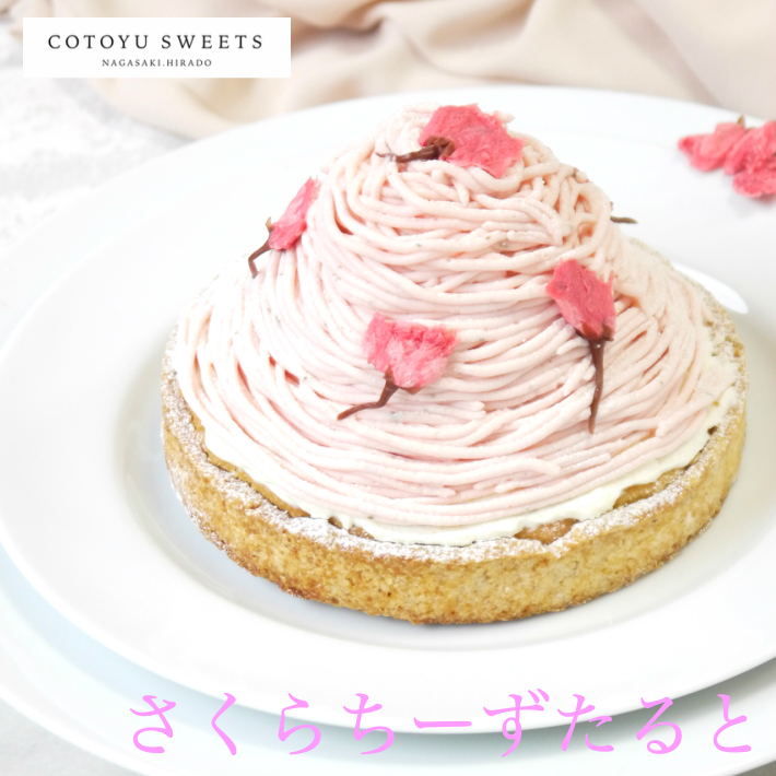 桜チーズタルト 1