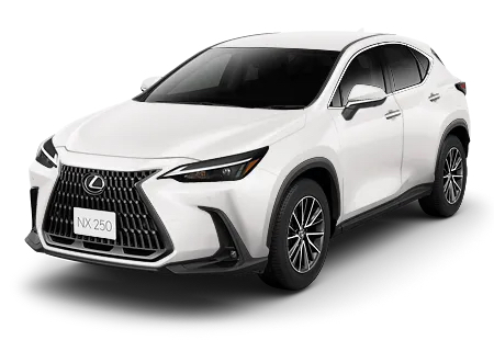 NX 1
