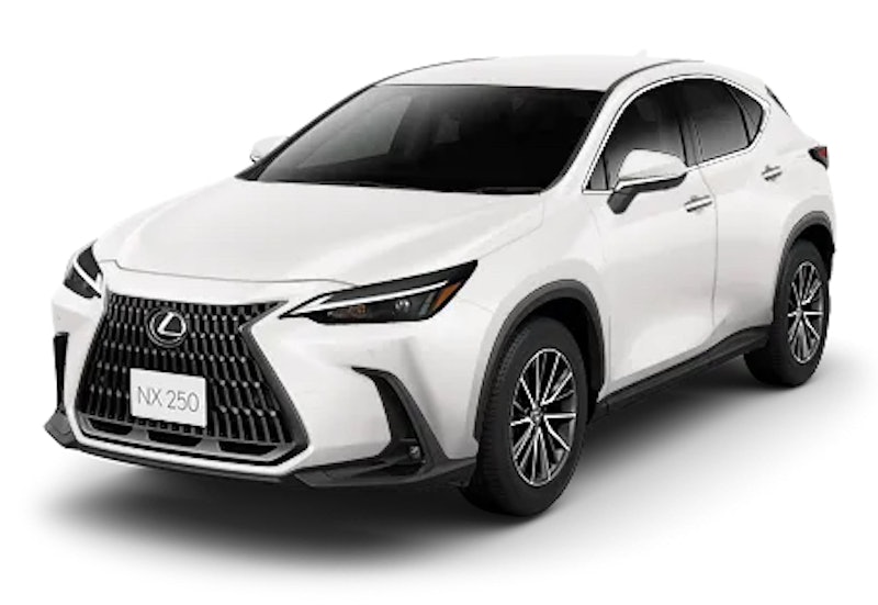 NX 1